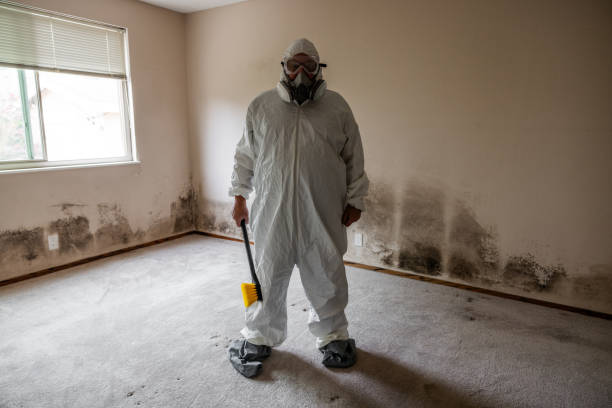 Best Industrial Mold Remediation in Carle Place, NY